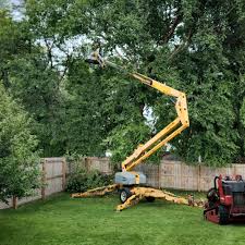 Trusted Nooksack, WA Tree Care Experts